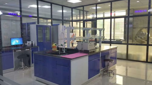 走進(jìn)寵物產(chǎn)業(yè)基地 南和 走進(jìn)伊薩工廠(chǎng)