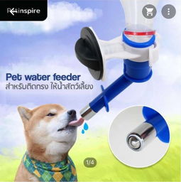 本周五采洽會來襲，泰國寵物衣架訂單引爆商機